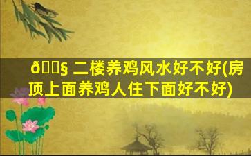 🐧 二楼养鸡风水好不好(房顶上面养鸡人住下面好不好)